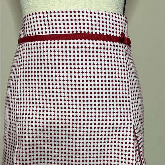Chic Red and White Polka Dot  A-Line Skirt - Picture 4 of 12